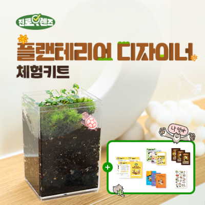 DIY 제주애기모람 테라리움 만들기_플랜테리어 디자이너(굿즈+활동지포함)